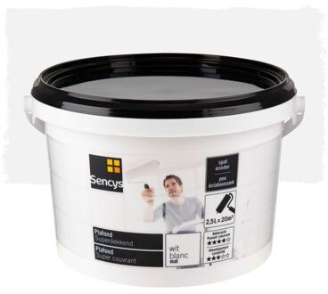 Plafond verf - Superdekkend Wit Mat 2.5L