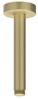 Plafondbuis - 15cm - 1/2" - Geborsteld mat goud PVD 6901604 Goud geborsteld PVD