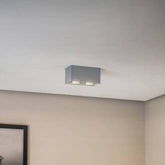 Plafondlamp Ara Maxi van aluminium 2-lamps grijs