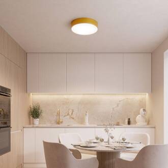 Plafondlamp Cleo, Ø 20 cm, IP54, goudkleurig, metaal, E27