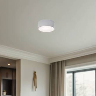 Plafondlamp Cleo, Ø 20 cm, IP54, grijs, metaal, E27