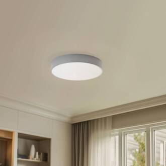 Plafondlamp Cleo, Ø 50 cm, IP54, grijs, metaal, E27