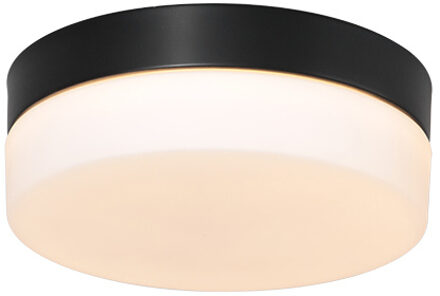 Plafondlamp Ikaro Ø 18 cm IP44 zwart