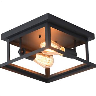 Plafondlamp Industrieel - Plafonnière - Dubbele Lamp - E27 - Metaal - Zwart