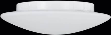 Plafondlamp met bajonetsluiting wit IP44 opaalwit