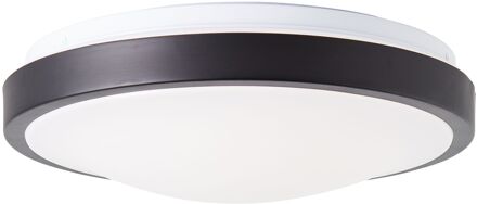 Plafondlamp Oslo Zwart ⌀31cm E27