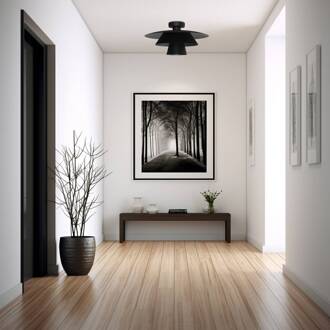 Plafondlamp Plato, zwart, metaal, Ø 38 cm, E27