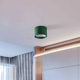 Plafondspot Chloe vast, groen