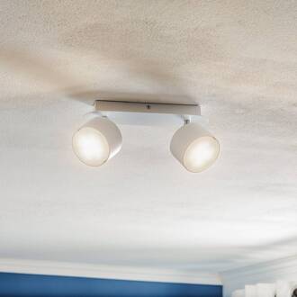 Plafondspot Cloudy 2-lamps wit