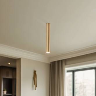 Plafondspot Eye, hoogte 40 cm, messing