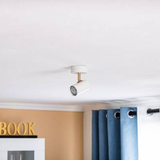 Plafondspot Lund in wit, 1-lamp wit mat, goud