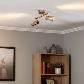 Plafondspots, goud, 2-lamps