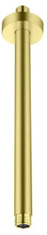Plafonduitloop BWS Colorato 30 cm Geborsteld Goud