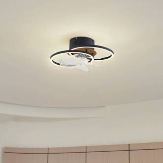 plafondventilator Lomana, zwart, stil, CCT zwart, licht hout, transparant