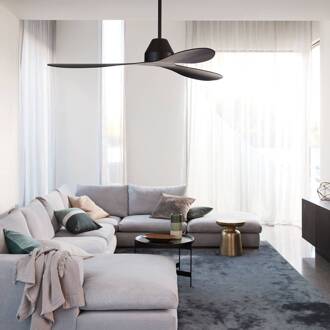 Plafondventilator Whitehaven zwart geruisloos 142 cm