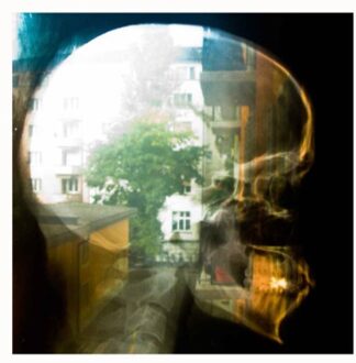 Plaid - Reachy Prints