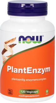 Plant Enzymes Capsules 120 st