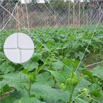 Plant Klimmen Netto Mesh Loofah Netting Voor Morning Glory Vine Bloemen Tuin Planten Klimmen Netto Komkommer Wijnstok Groeien Houder MA5 3.34x10m