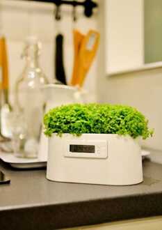 Plant Klok-Mini Power Station-Bloempot Vorm Klok