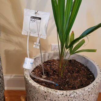 Plant Life Ondersteuning Druppelirrigatie Home Plant Automatische Bevloeiing Planten Bloem Waterers Fles Druppelirrigatie Planta 50ml