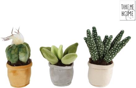 plant pluche 12-17cm groen