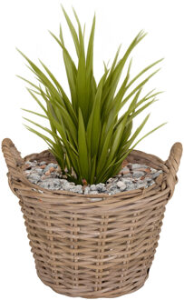 Planten/bloemen mand Levi - rotan - naturel - D39 x H25 cm - plantenpot voor buiten
