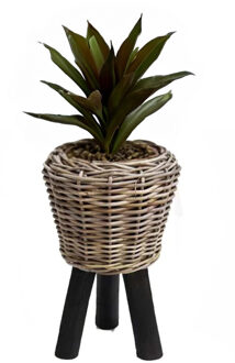 Planten/bloemen mand op pootjes - rotan - D27 x H42 cm