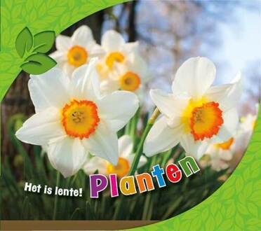 Planten - Boek Martha Rustad (9463412204)