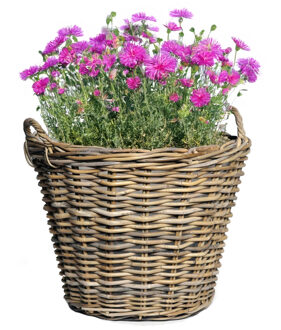 Planten of bloemen mand - D42 x H31 cm - rotan