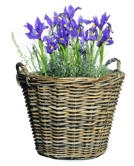 Planten of bloemen mand - D45 x H35 cm - rotan