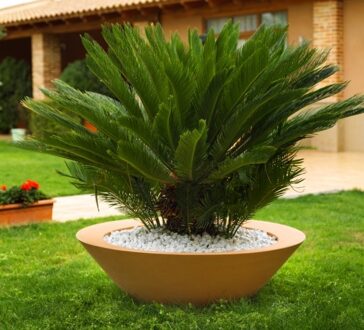 Plantenbak Centro Onverlicht