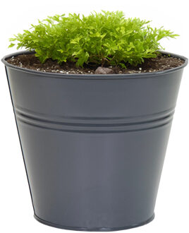 plantenpot/bloempot Bob - zink - antraciet - D11 X H10 cm - IJzeren emmer / teil Blauw