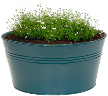 plantenpot/bloempot Bob - zink - zeegroen - D25 X H12 cm - IJzeren emmer / teil