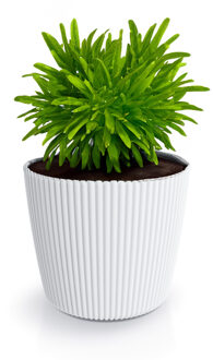 Plantenpot/bloempot Buckingham - kunststof - ivoor wit - D17 x H15 cm - Plantenpotten