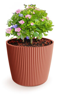 Plantenpot/bloempot Buckingham - kunststof - steenrood - 19 x 17 cm - Plantenpotten