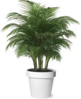 Plantenpot/bloempot - kunststof - wit - buiten - D40 x H35 cm - Plantenpotten