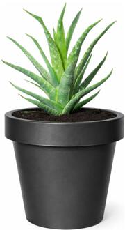 Plantenpot/bloempot - kunststof - zwart - buiten - D20 x H18 cm - Plantenpotten