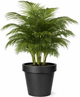 Plantenpot/bloempot - kunststof - zwart - buiten - D40 x H35 cm - Plantenpotten