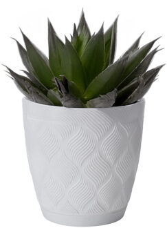 Plantenpot/bloempot New Age - kunststof - ivoor wit - D17 x H15 cm - met schotel