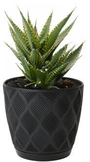 Plantenpot/bloempot New Age - kunststof - zwart - D13 x H12 cm