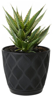 Plantenpot/bloempot New Age - kunststof - zwart - D19 x H17 cm