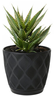 Plantenpot/bloempot New Age - kunststof - zwart - D23 x H21 cm