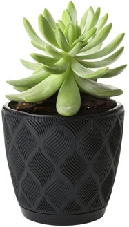Plantenpot/bloempot New Age - kunststof - zwart - D27 x H24 cm