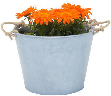 plantenpot/bloempot Old Rope - zink - zilver - D40 X H29 cm - IJzeren emmer / teil Zilverkleurig