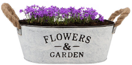 plantenpot/bloempot teil Jardin- zink - wit - L26 x D17 x H11 cm