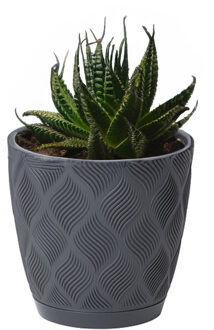 Plantenpot - Kunststof - Antraciet - D17 X H15 Cm