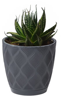 Plantenpot - Kunststof - Antraciet - D23 X H21 Cm