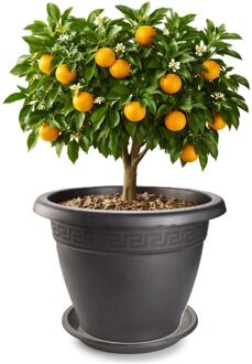 plantenpot met opvang schaal - antraciet - rond - D50 x H40 cm - kunststof - tuin