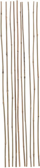 Plantenstokken - 10x - 90 cm - plantensteun/tonkinstokken