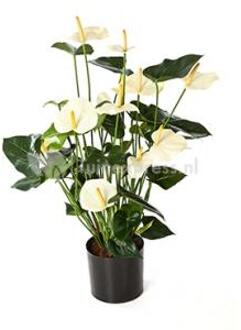 Plantenwinkel Kunstplant Anthurium cream Groen